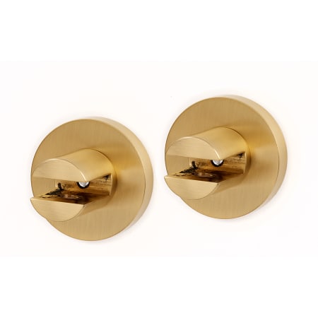 A large image of the Alno A8350 Satin Brass