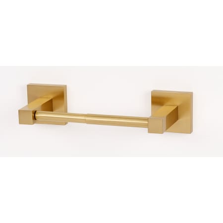 A large image of the Alno A8460 Satin Brass