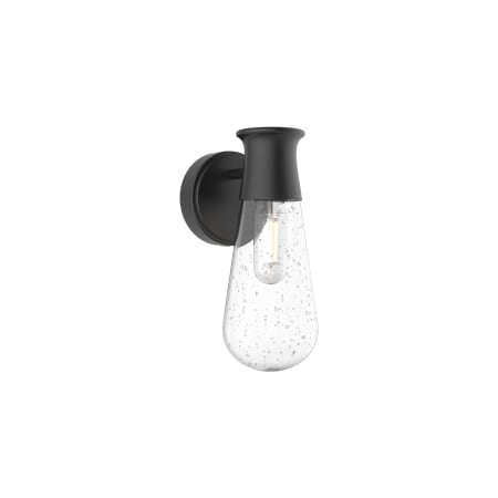 A large image of the Alora Lighting EW464001 Black / Clear Bubble Glass