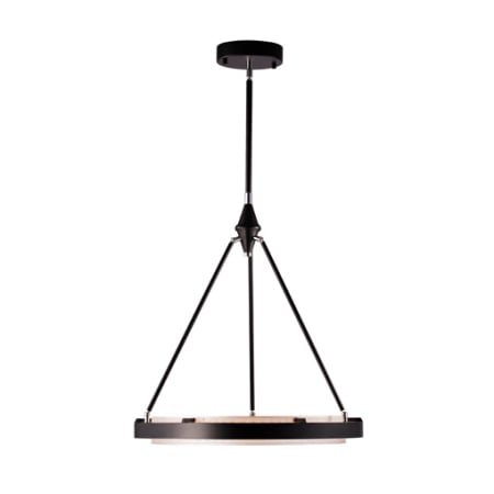 A large image of the Alora Lighting PD302724GS Alternate Image