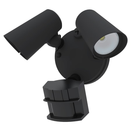 A large image of the American Lighting FL2-3CCT Black