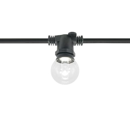 A large image of the American Lighting LS-C-12 Black