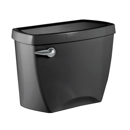 A large image of the American Standard 4266.604 Black