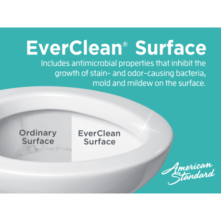 A large image of the American Standard 2002.014 American Standard-2002.014-EverClean Technology