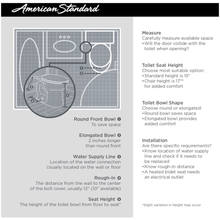 A large image of the American Standard 203AA.104 Alternate Image