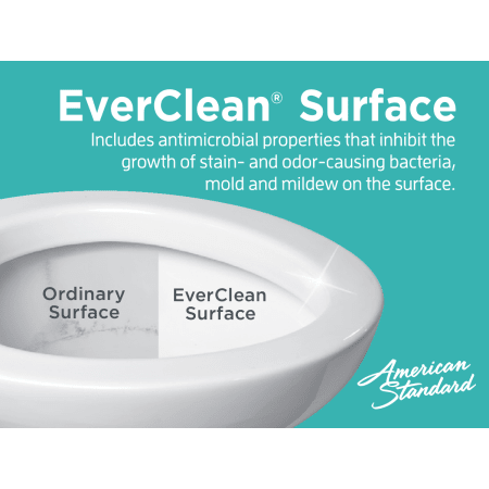 A large image of the American Standard 221CA.004 American Standard-221CA.004-EverClean Technology