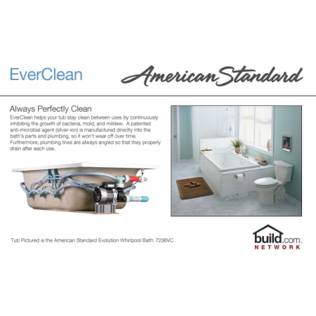 A large image of the American Standard 2461.128WC American Standard 2461.128WC