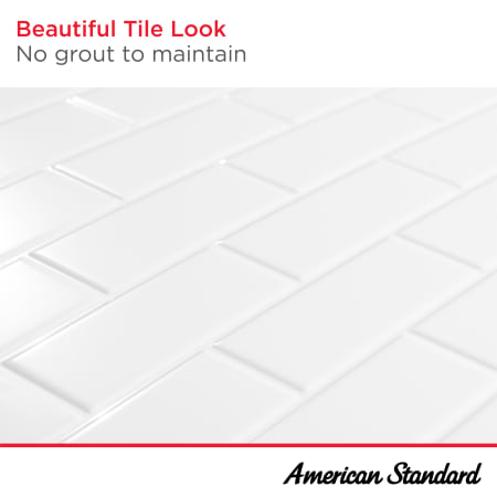 A large image of the American Standard 2951SWT.32 Alternate Image