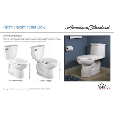A large image of the American Standard 3016.001US American Standard 3016.001US