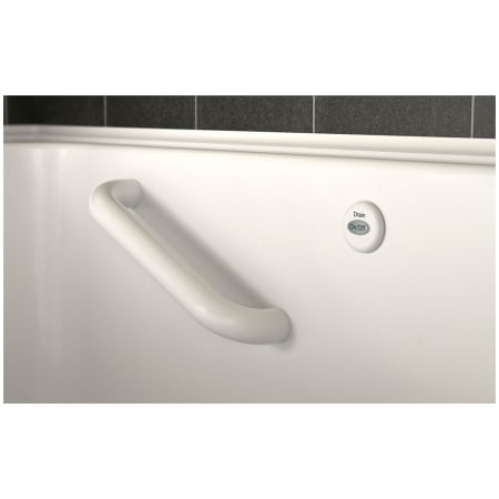 A large image of the American Standard 3060.509.SR Alternate Image