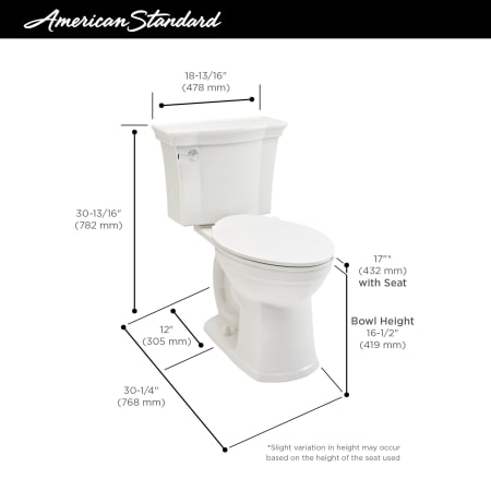 A large image of the American Standard 207AA.104CP VorMax Infographic