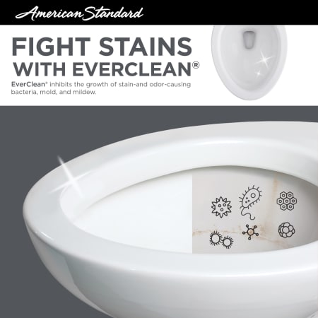 A large image of the American Standard 205AA.104 EverClean Surface