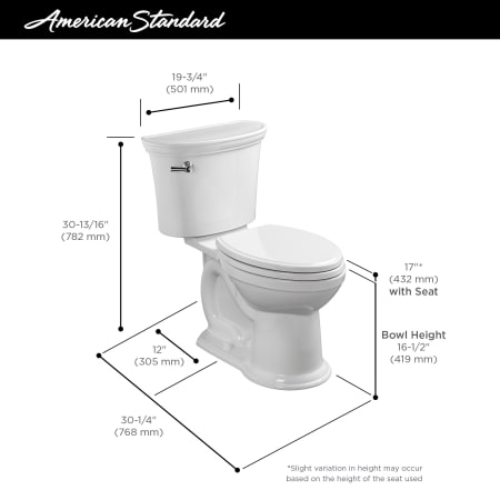 A large image of the American Standard 205AA.104 VorMax Infographic