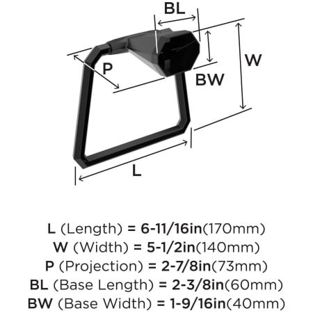 A large image of the Amerock BH36042 Alternate Image