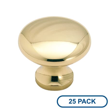 A large image of the Amerock BP1424-25PACK Polished Brass