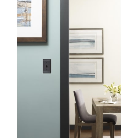 A large image of the Amerock BP36500 Amerock-BP36500-Black Bronze in Doorway