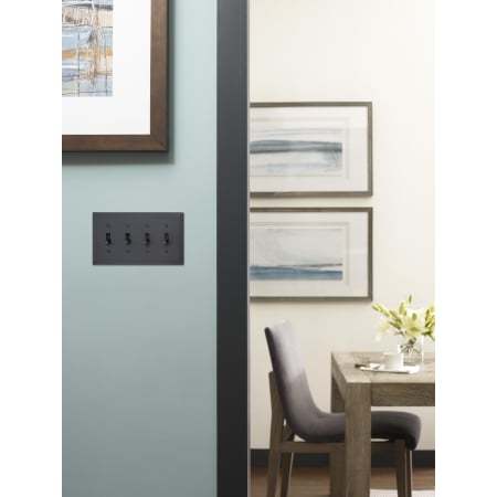 A large image of the Amerock BP36517 Amerock-BP36517-Black Bronze in Doorway