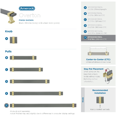 A large image of the Amerock BP36685 Alternate Image