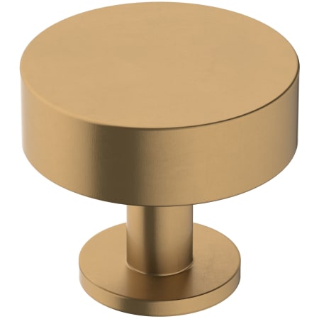 A large image of the Amerock BP36864 Champagne Bronze