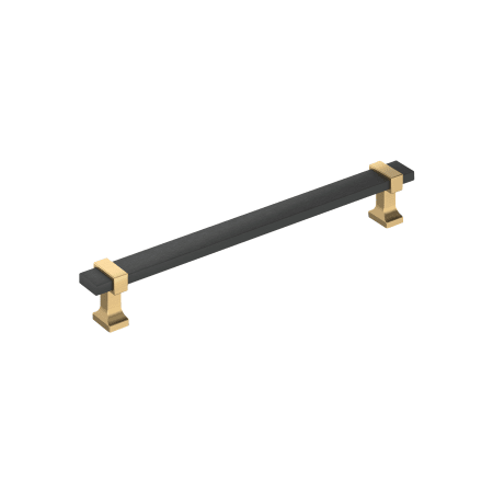 A large image of the Amerock BP37081 Brushed Matte Black / Champagne Bronze