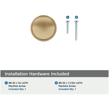 Amerock BP53718 A large image of the Amerock BP53718 Alternate Image