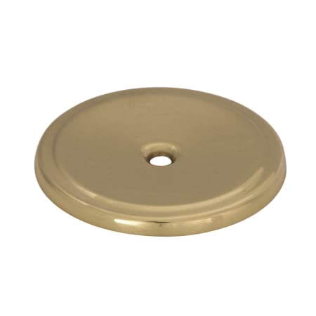 A large image of the Amerock BP760 Amerock-BP760-Angle View in Polished Brass