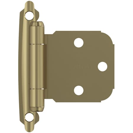 A large image of the Amerock BP7629 Golden Champagne