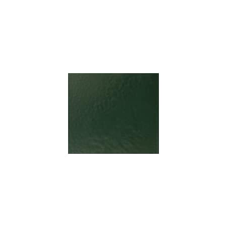 A large image of the ANP Lighting D616-M016LDNW40K-RTC-WHC Marine Grade Forest Green