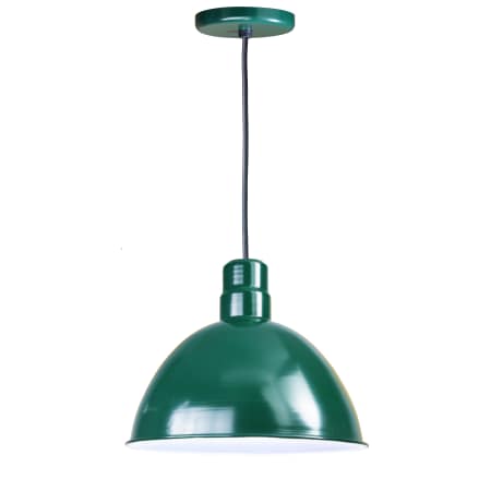 A large image of the ANP Lighting D616-42-BLC-42 Forest Green