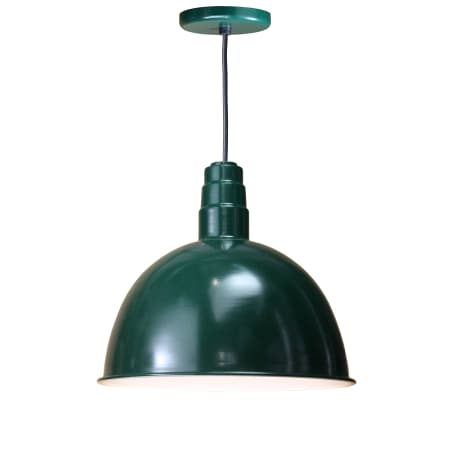 A large image of the ANP Lighting D618-42-BLC-42 Forest Green