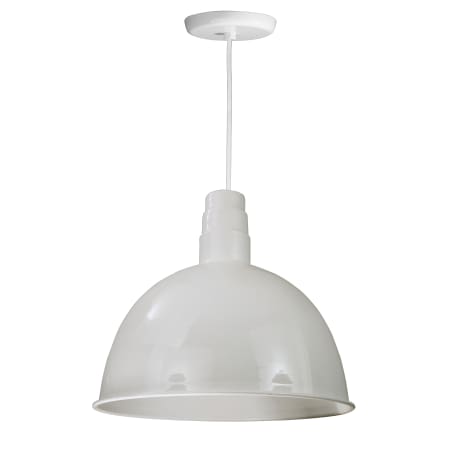 A large image of the ANP Lighting D618-44-WHC-44 White