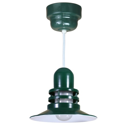 A large image of the ANP Lighting ORB12-FR-42-RWHC Forest Green
