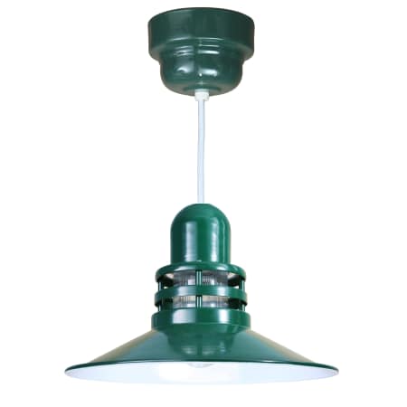 A large image of the ANP Lighting ORB16-FR-42-RWHC Forest Green