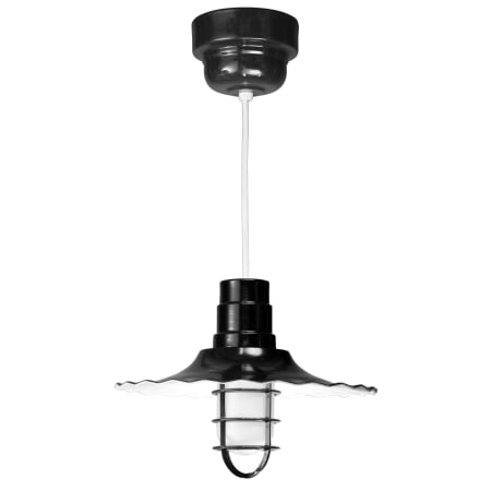 A large image of the ANP Lighting R916-41-100GLFR-GUP-41-RWHC Black