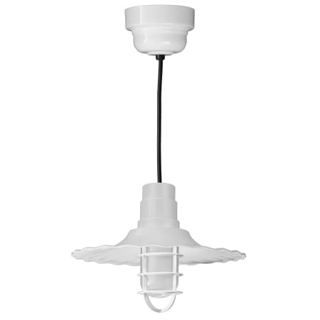 A large image of the ANP Lighting R916-44-100GLFR-GUP-44-RBHC White