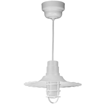 A large image of the ANP Lighting R916-44-100GLFR-GUP-44-RWHC White