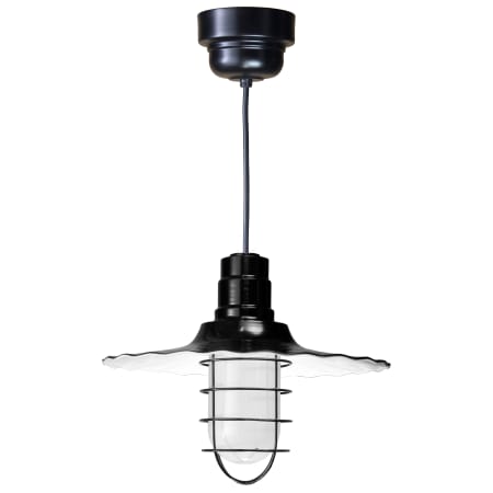A large image of the ANP Lighting R918-41-200GLFR-GUP-41-RBHC Black