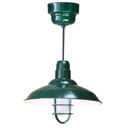 A large image of the ANP Lighting W516-42-100GLFR-GUP-42-RBHC Forest Green
