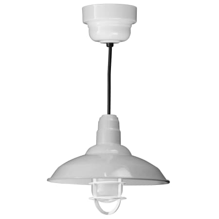 A large image of the ANP Lighting W516-44-100GLFR-GUP-44-RBHC White