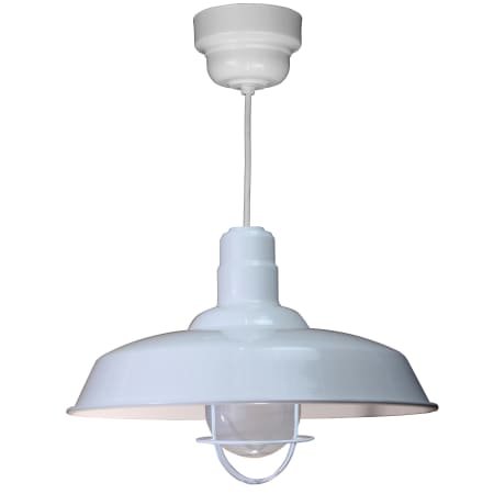 A large image of the ANP Lighting W520-44-200GLFR-GUP-44-RWHC White