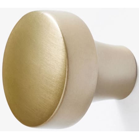 A large image of the Ariel K101-1 Satin Brass