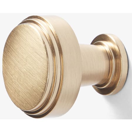 A large image of the Ariel K301-1 Satin Brass