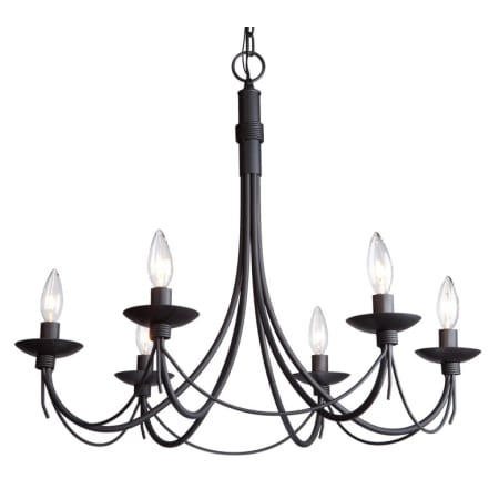 A large image of the Artcraft Lighting AC1486EB Black Wrought Iron