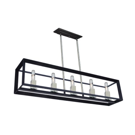 A large image of the Artcraft Lighting AC10065 Black / Chrome