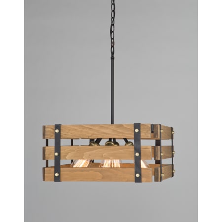 A large image of the Artcraft Lighting AC11496 Alternate Image