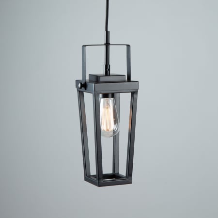 A large image of the Artcraft Lighting AC11701 Alternate Image