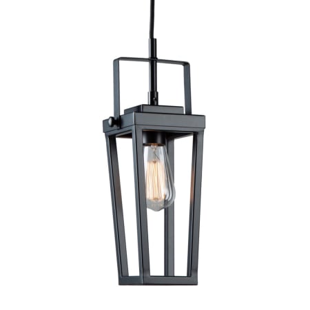 A large image of the Artcraft Lighting AC11701 Black