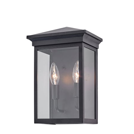 A large image of the Artcraft Lighting AC8161 Black