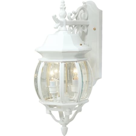 A large image of the Artcraft Lighting AC8361 White