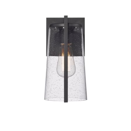 A large image of the Artcraft Lighting AC8820 Black